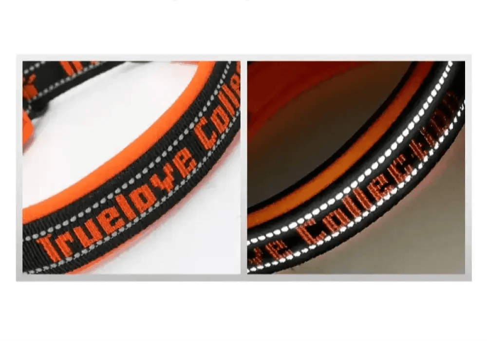 Collier truelove rembourré ajustable pour chien orange et noir sécurisé et confortable