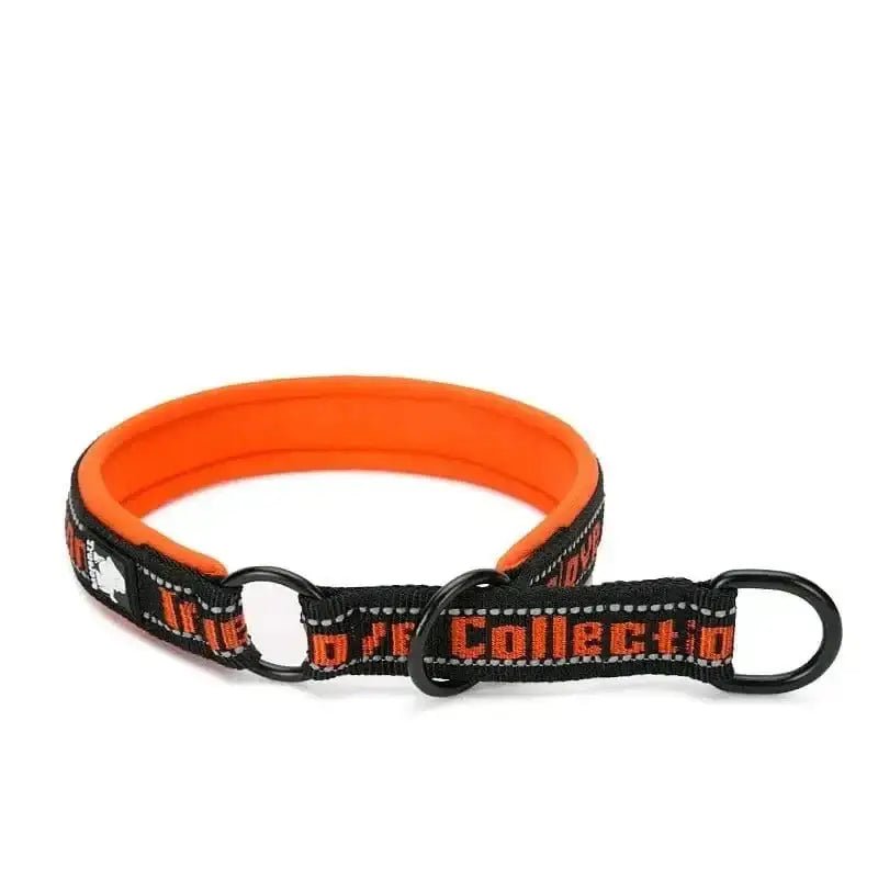 Collier truelove rembourré ajustable pour chien orange et noir, sécurisé et confortable