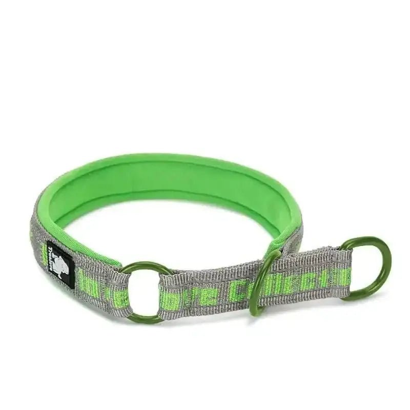 Collier truelove rembourré pour chien confortable avec couleur verte et gris