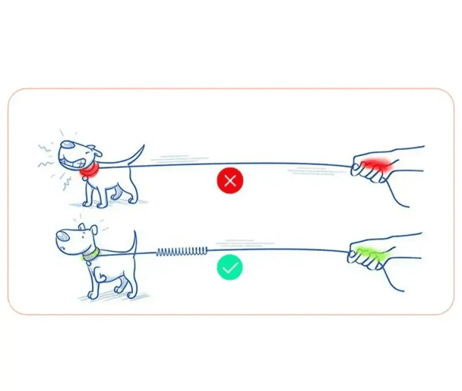 Comparaison de la laisse Coupler Truelove avec extension amortissante pour chien