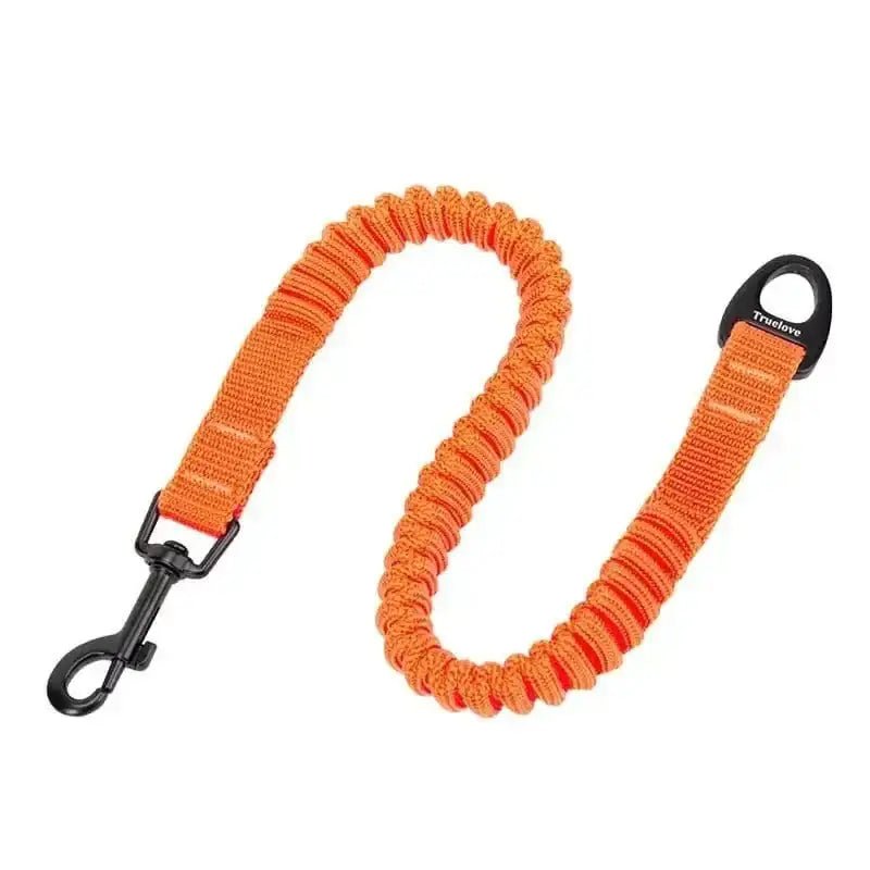Courte description SEO : laisse bungee orange avec amortisseur intégré pour chien Truelove