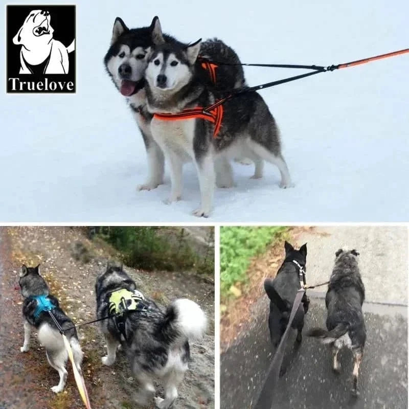 Harnais pour chien avec leash, acier inoxydable, bandes réfléchissantes, solution anti-enchevêtrement Coupleur Truelove