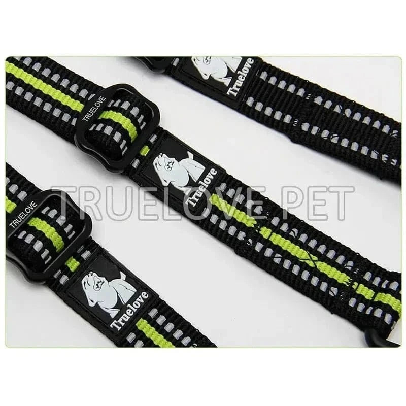Collier pour chien en acier inoxydable avec bandes réfléchissantes et joint torique