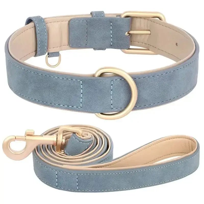 Collier et laisse en cuir pour chien, ensemble chic et pratique, bleu suede