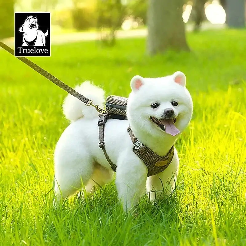 Harnais et laisse Truelove élégant pour chien avec pochette et chien blanc fluffy