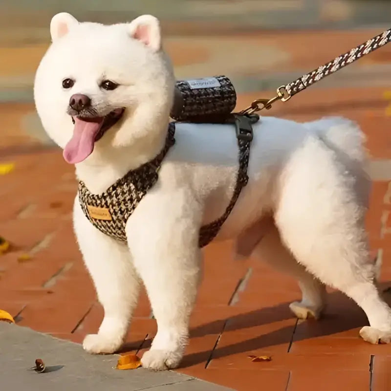 Harnais et laisse Truelove pour chien blanc fluffy avec pochette élégante