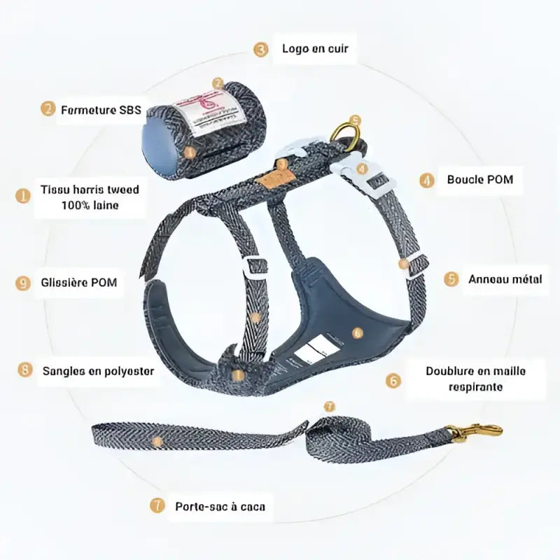 Harnais et laisse Truelove pour chien en Harris Tweed, avec porte-sac et anneaux métal
