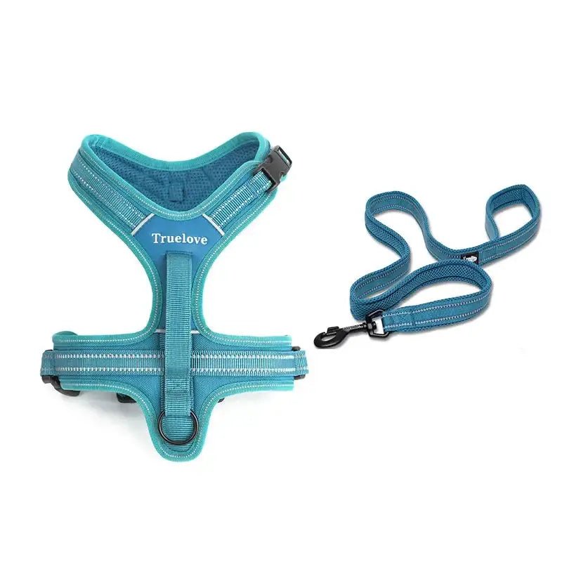 Harnais pour chien Truelove avec laisse 200 cm, ensemble complet, poignée dorsale intégrée