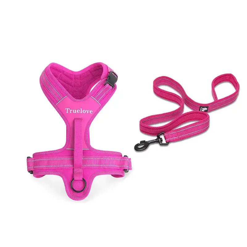Harnais pour chien Truelove avec poignée dorsale intégrée et laisse 200 cm, ensemble complet pour activités sportives