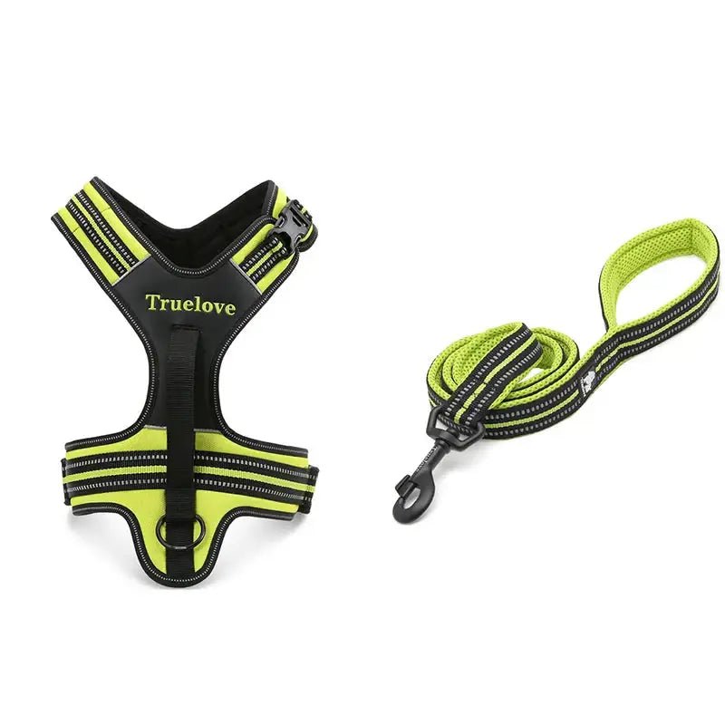 Harnais pour chien Truelove avec poignée dorsale intégrée et laisse 200 cm pour activités sportives