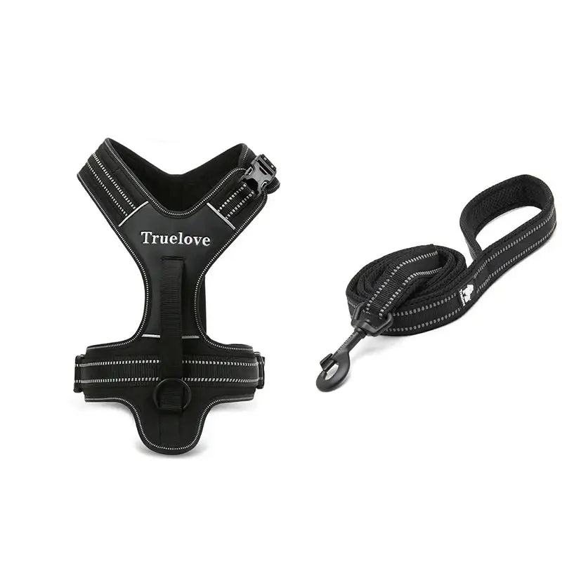 Harnais pour chien Truelove avec laisse 200 cm, poignée dorsale intégrée, ensemble complet, activités sportives