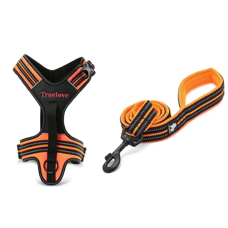 Ensemble complet harnais pour chien Truelove avec poignée dorsale intégrée et laisse 200 cm