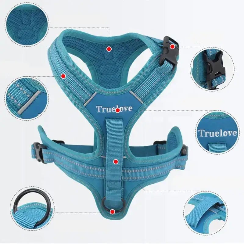 Harnais pour chien Truelove avec poignée dorsale intégrée et ensemble complet pour activités sportives