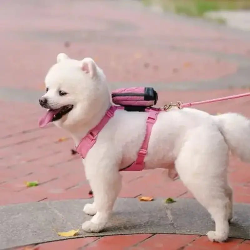 Harnais pour chien Truelove biosourcé 3-en-1 avec petit sac et laisse pour Pomeranian