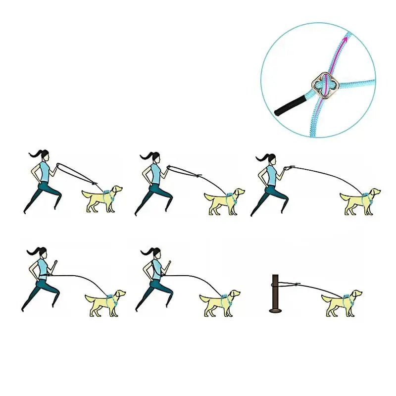 Harnais pour chien Truelove biosourcé 3-en-1 avec laisse et petit sac, système polyvalent