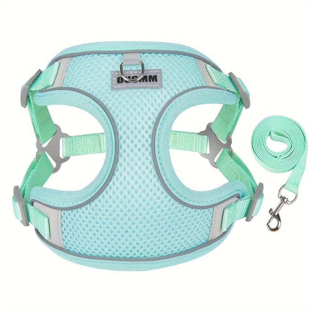 Harnais respirant turquoise pour chien petite à moyenne taille avec laisse réfléchissante
