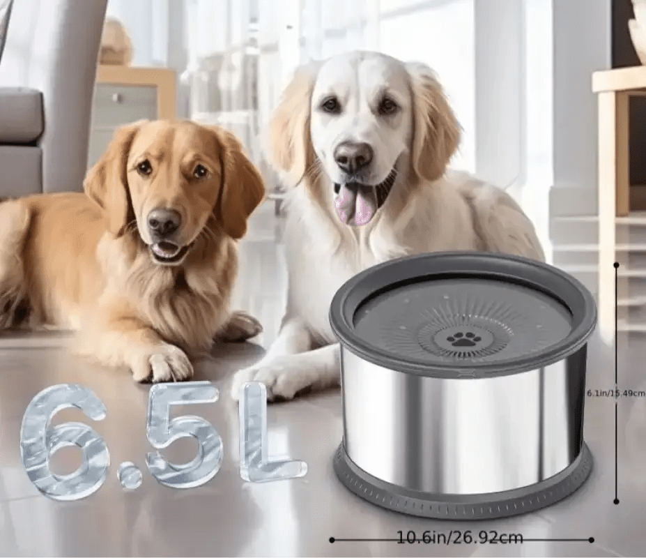 Absence d’illustrations, description d’une gamelle anti-éclaboussures pour chien en inox avec système contrôle niveau eau