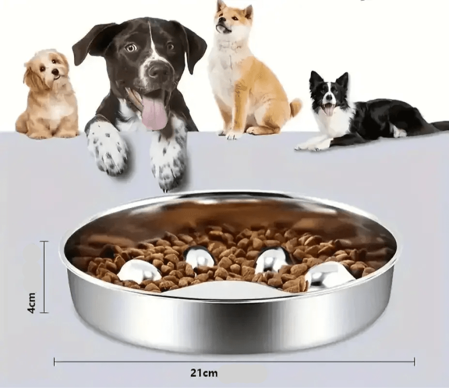 Photo d’une gamelle anti-glouton pour chien en inox, design, antidérapante et hygiénique