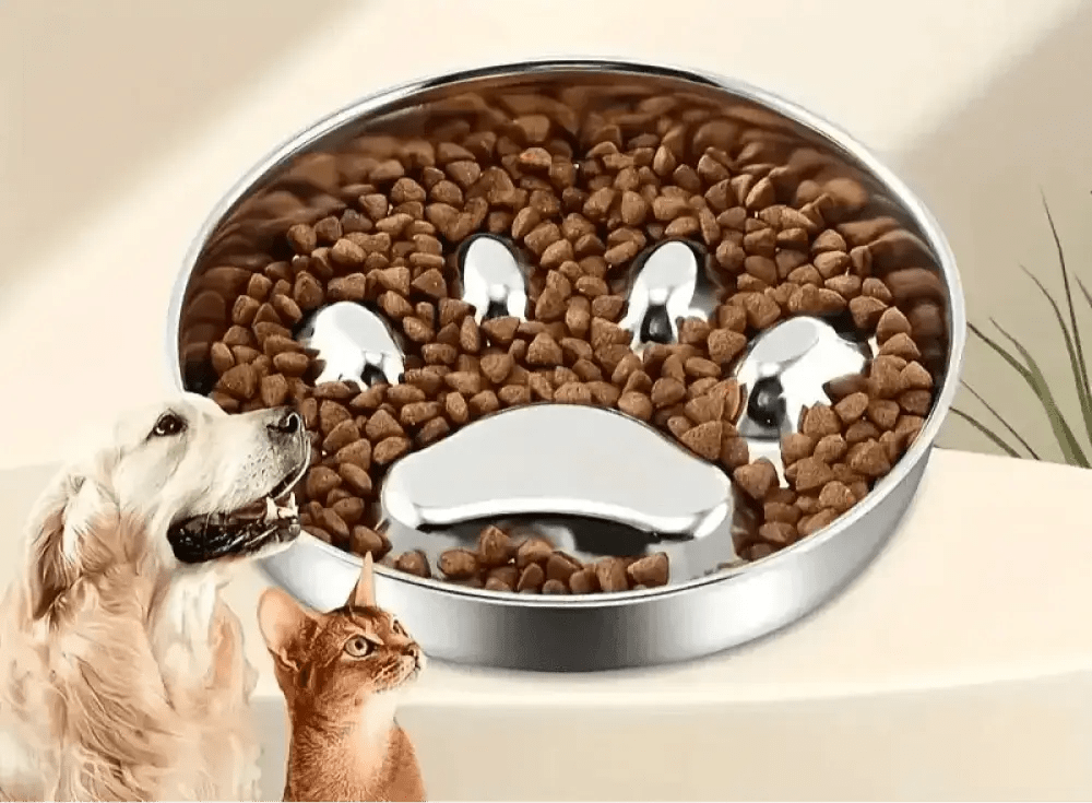 Gamelle anti-glouton pour chien en inox avec diviseurs en forme de patte, design hygiénique