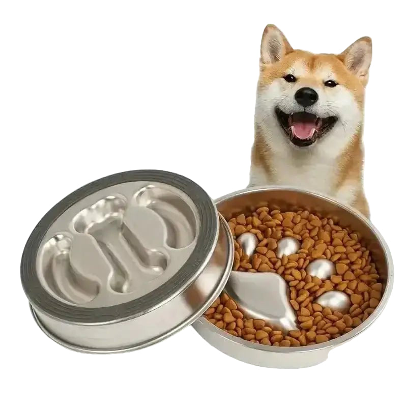 Image d’une gamelle anti-glouton pour chien en inox avec design hygiénique et anti-dérapant