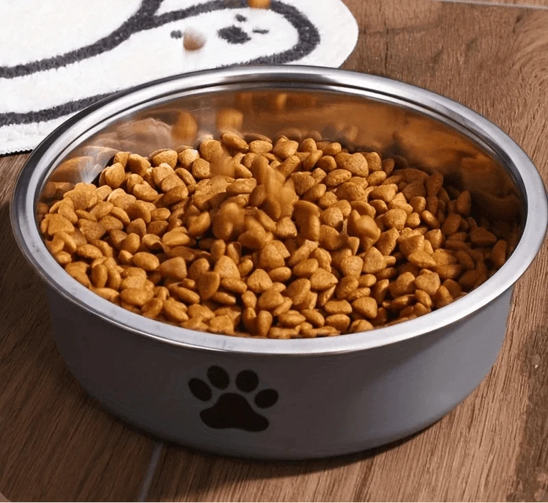 Gamelle en acier inoxydable antidérapante pour chiens avec nourriture sèche