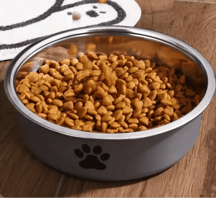 Gamelle inox pour chien antidérapante et décorative avec nourriture sèche
