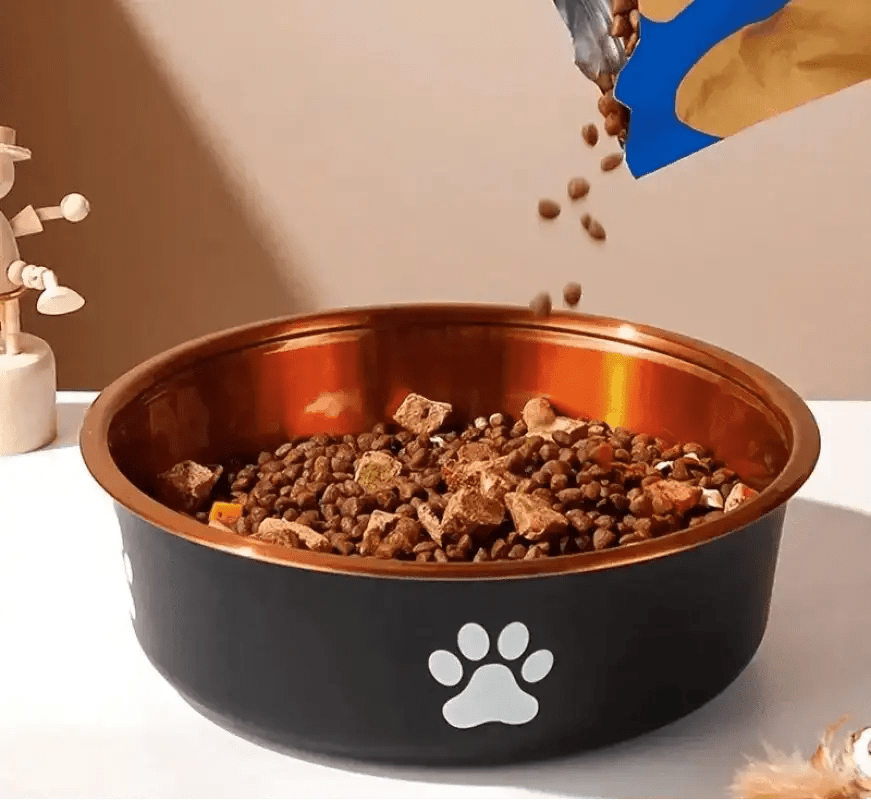 Gamelle en inox pour chien design avec base antidérapante et motif patte