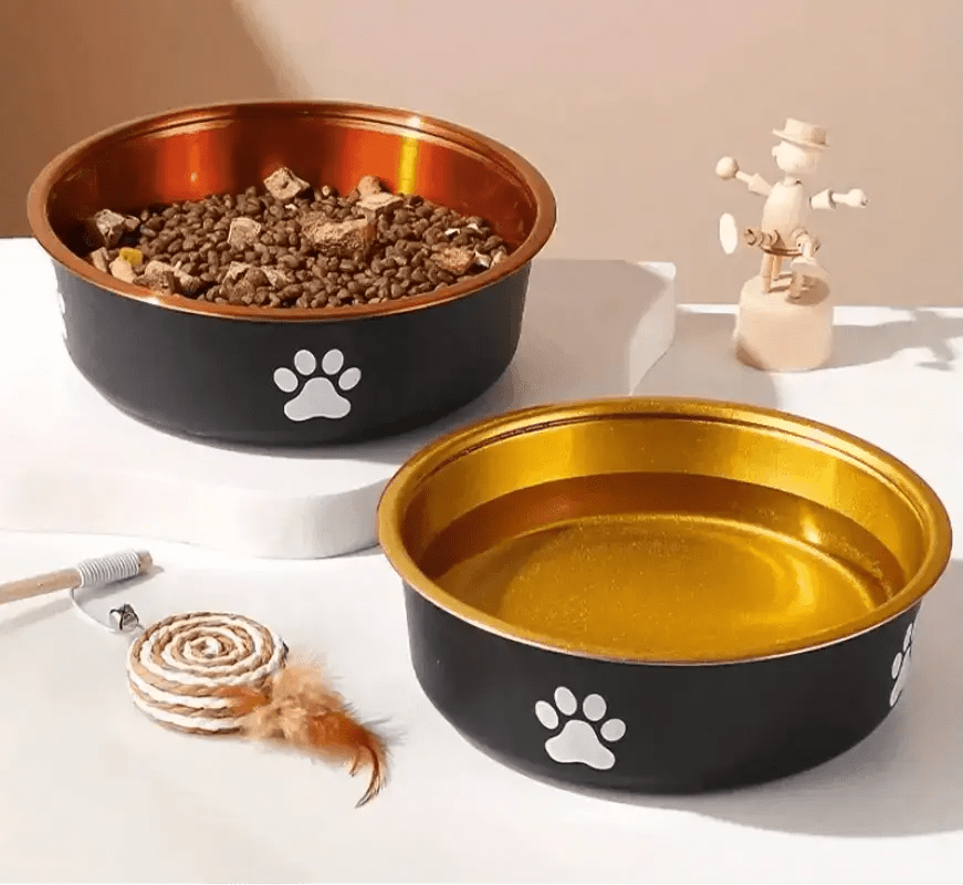 Gamelle en inox pour chien design avec base antidérapante et motif empreintes paws