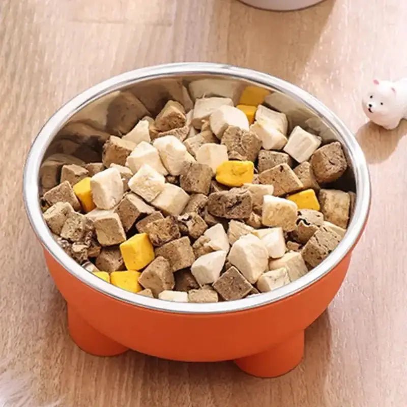 Gamelle sur pied pour chien en inox coloré avec nourriture congelée, accessoires pour chien
