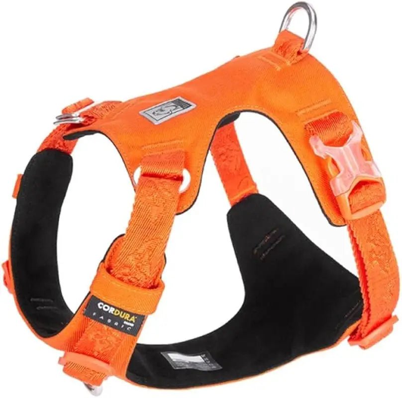 Harnais chien anti traction Colorado Plus Truelove imperméable avec rembourrage noir