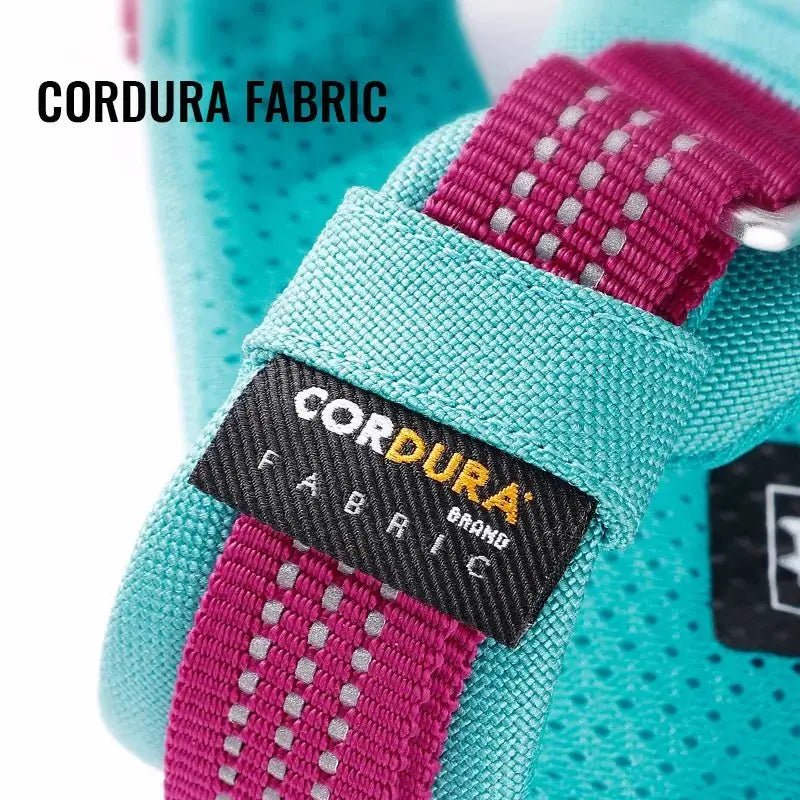 Harnais pour chien Truelove Double avec sangles réglables, rembourrage doux, étiquette Cordura