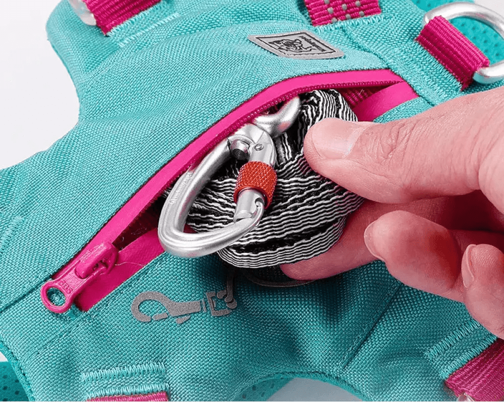 Harnais pour chien Truelove Double avec sangles réglables, rembourrage doux et poche