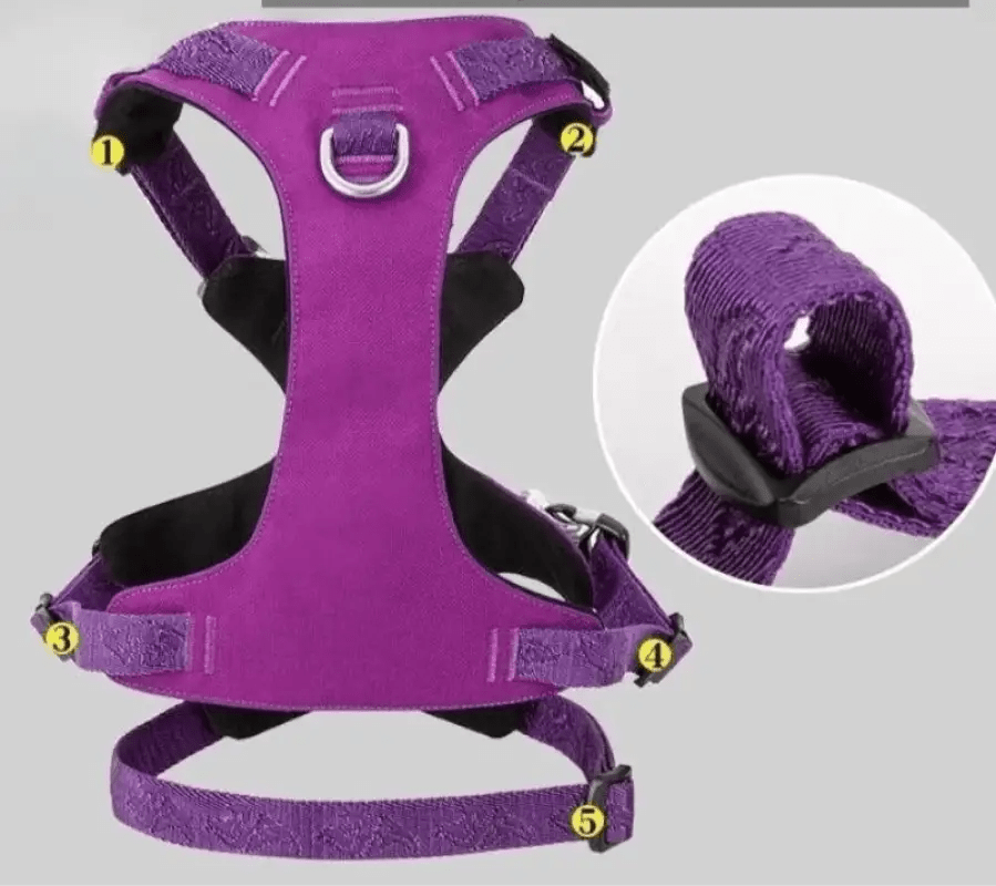 Harnais chien anti traction avec design double, tissu Cordura, boucles duraflex et D-ring