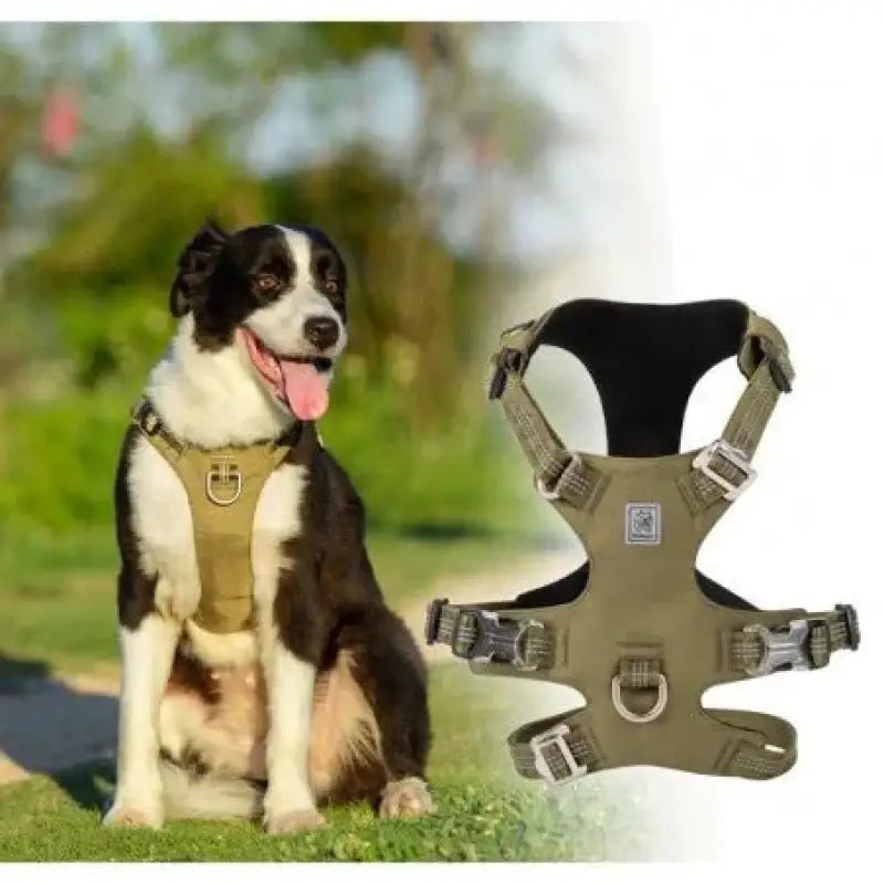 Harnais pour chien anti traction Winhyepet Redrock en tissu Cordura vert olive