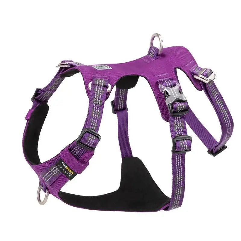 Harnais pour chien anti traction Winhyepet Redrock en tissu Cordura violet avec reflets