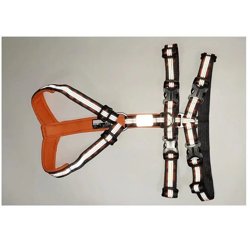 Harnais pour chien Truelove Double H Trail Runner réfléchissant avec boucles orange et noir