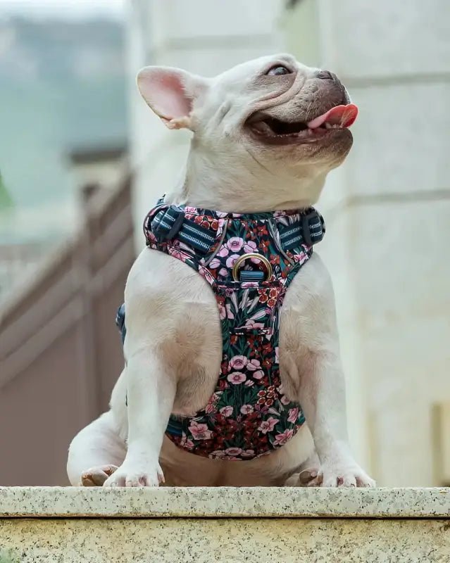 Harnais pour chien en Y Truelove Country Plus motif floral original et élégant