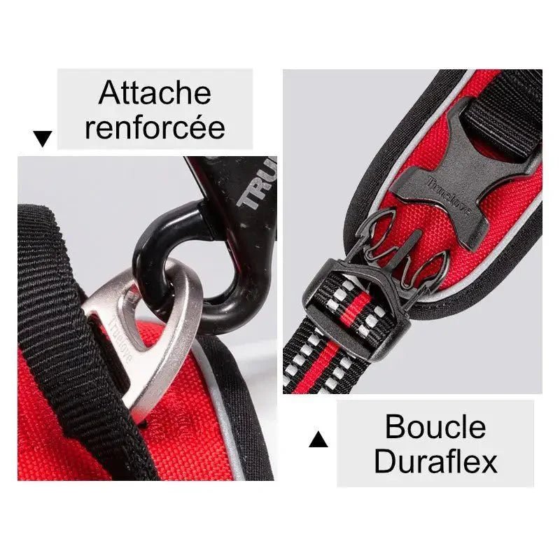 Hardware de harnais Truelove Country Plus en Y pour chien, double attache sécurisé