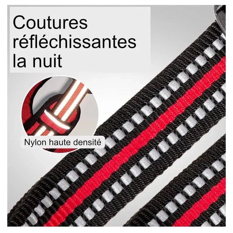 Reflective nylon strap de harnais Truelove Country Plus avec double attache pour chien