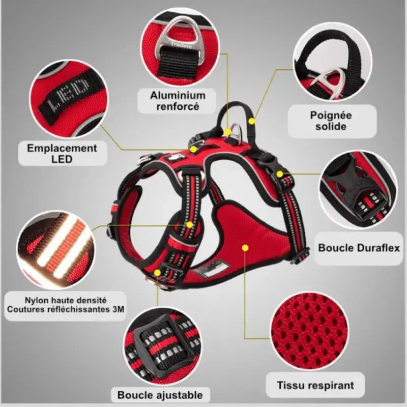 Harnais Truelove Country Plus en Y pour chien avec reflective trim et double attache