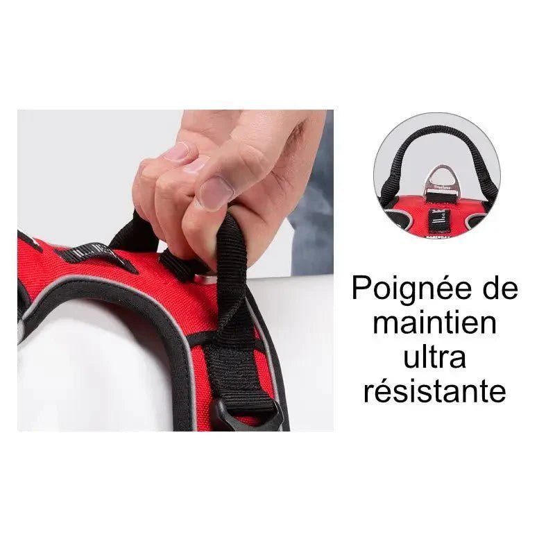 Harnais Truelove Country Plus en Y pour chien rouge et noir avec poignée sécurisée