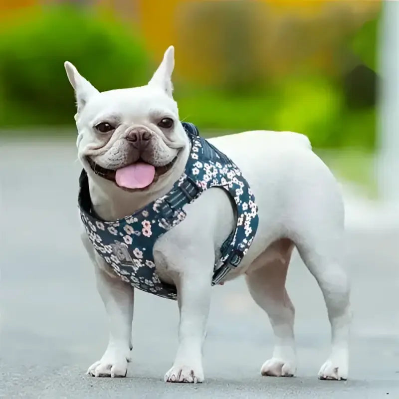 Harnais pour chien floral Truelove en coton doux, idéal pour petit chien ergonomique