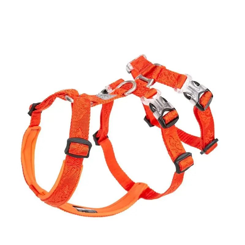 Harnais pour chien Truelove en orange, confort réglable et sécurité maximale