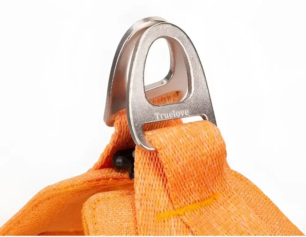 Harnais pour chien Truelove avec sangle orange et boucle en métal D-ring sécurisée