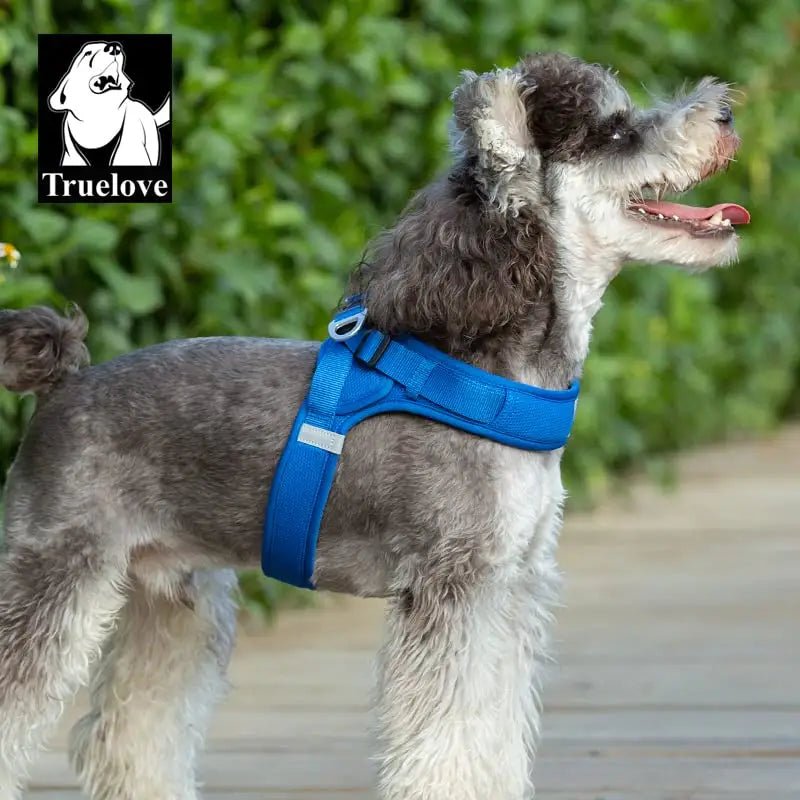 Harnais pour chien Truelove avec attache dorsale sécurisée et confort ergonomique
