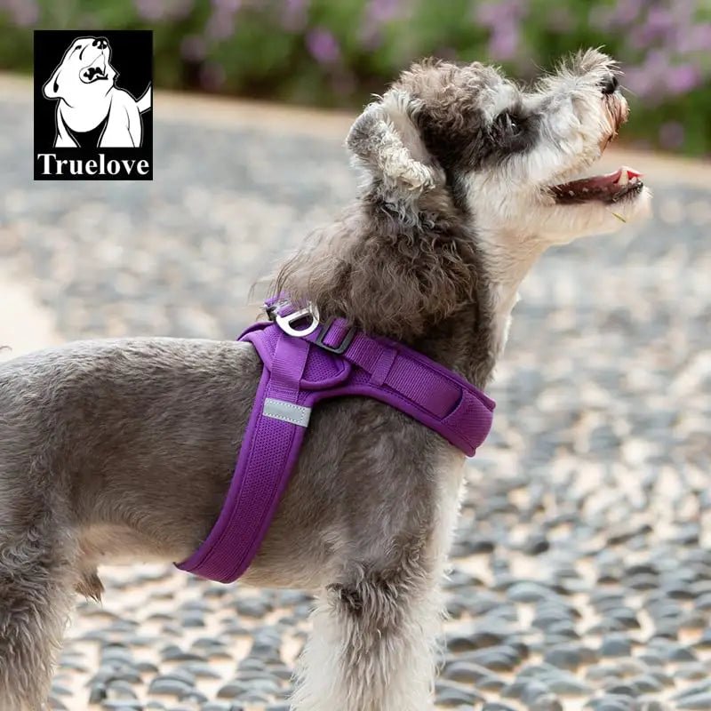 Harnais pour chien Truelove ergonomique et léger avec attache dorsale sécurisée