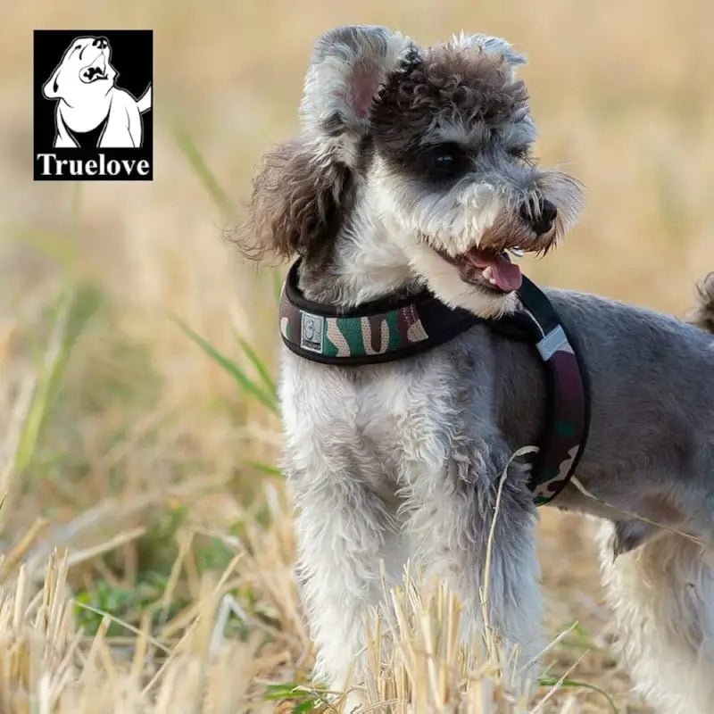 Harnais Truelove ergonomique pour chien confortable avec attache dorsale sécurisée et camouflage