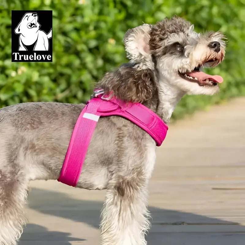 Harnais Truelove ergonomique pour chien confortable avec attache dorsale sécurisée et réflecteurs