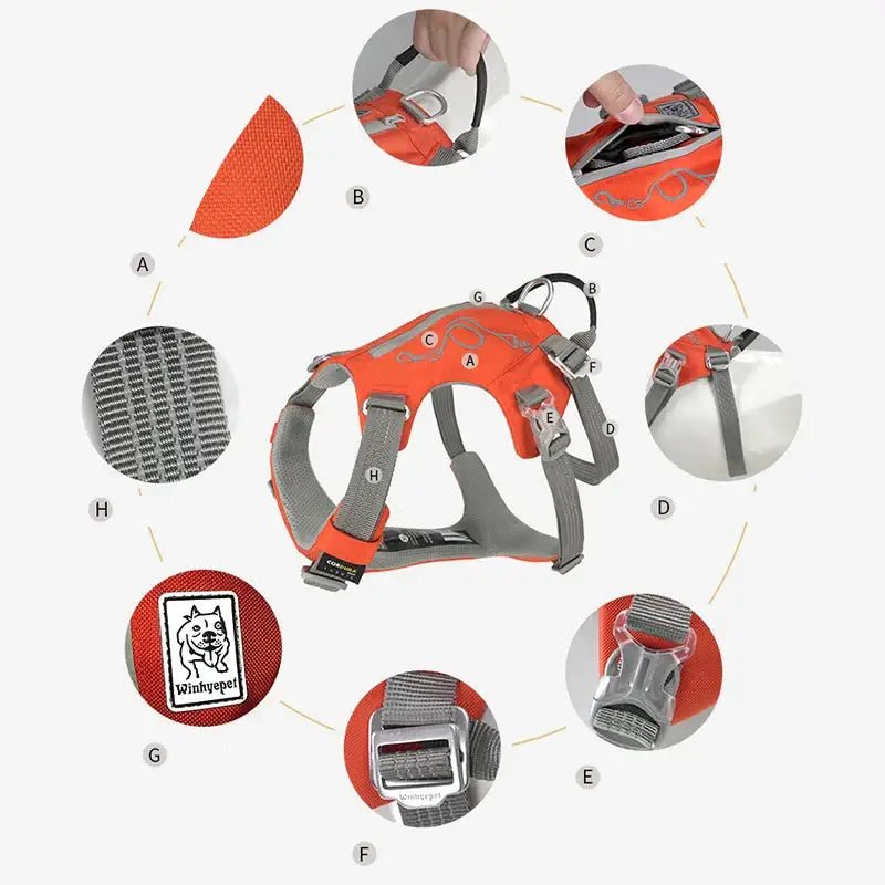 Harnais pour chien Truelove Double H avec sangles réglables, rembourrage doux et réflecteurs