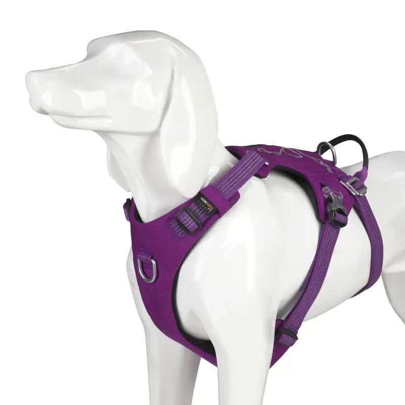Harnais pour chien Truelove Double avec sangles réglables et rembourrage doux